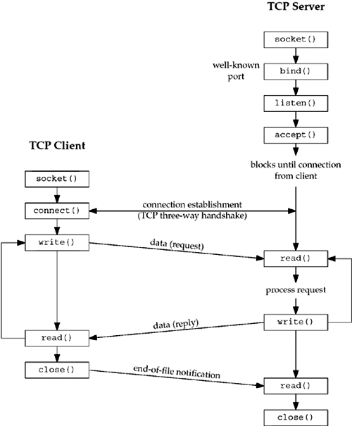 Socket functions for elementary TCP client/server